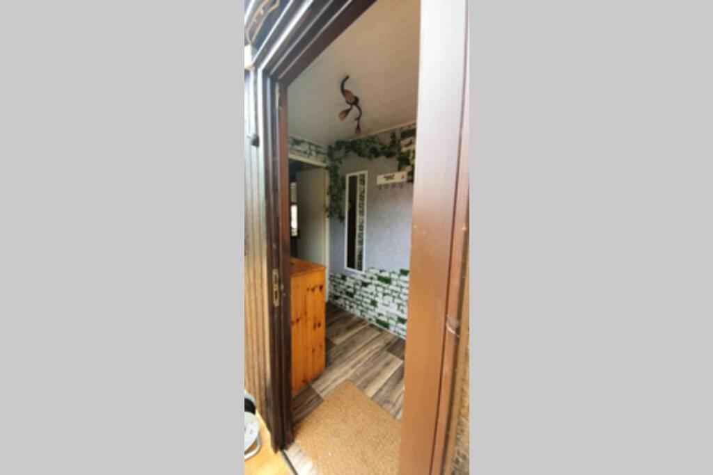 Tiny House Mit Indianerzelt Und Lagerfeuer Im Harz Lägenhet Benneckenstein Exteriör bild